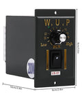 Front view of 200W speed controller module with 90° output shaft, dial labeled Low/Run/High, on/off switch