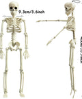 Front and side view of 16 Inch Posable Halloween Skeleton With Movable Joints Full Body Prop For Haunted Houses Indoor Decor Spooky Party