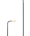 Black Rechargeable Type C FlexLamp 2 in 1 Desk and Floor Lamp with adjustable gooseneck, shown in desk and floor positions.