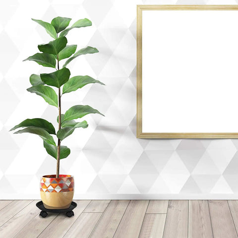Three Piece Plant Dolly Set Heavy Duty Resin Base Smooth Rolling Universal Wheels With Secure Brake Locks Makes Shuffling Houseplants A No Sweat Game Changer For Indoor Outdoor Flower Pots Black with potted plant.