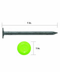 One Inch Electro Galvanized Ring Shank Cap Nails With Tough Plastic Collated Heads For Dead Nuts Underlayment Grip On Outdoor Decks Fits Cn100b And Cn100 Cap Nailers Flawlessly with nail and bright green cap head