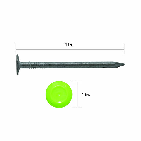 One Inch Electro Galvanized Ring Shank Cap Nails With Tough Plastic Collated Heads For Dead Nuts Underlayment Grip On Outdoor Decks Fits Cn100b And Cn100 Cap Nailers Flawlessly with nail and bright green cap head
