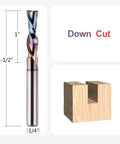 SpeTool downcut spiral router bit, 1/4 in shank, 1/4 in cutting diameter, 1 in cutting length, close-up view
