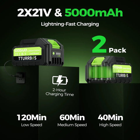 Dual 5.0Ah batteries and charger for Cordless Leaf Blower With 650 CFM And 180 MPH, featuring fast charging and speed durations.