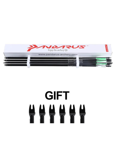 30 Inch Fiberglass Archery Practice Arrows With Replaceable Arrowheads And Nickel Plated Stainless Steel Tips Spine 500 8mm Diameter GPI 13 For Recurve And Compound Bows Target Practice in packaging with extra nocks.