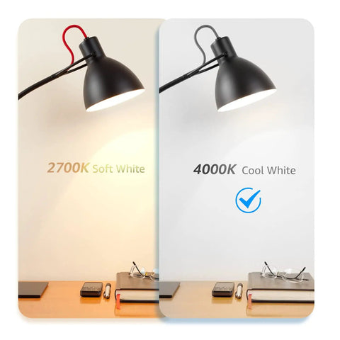 Comparison of 2700K soft white and 4000K cool white light from a lamp with Dimmable LED Edison Bulb With Vintage Filament For A Retro Vibe.