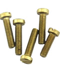 Hotrod Grade Brass Cheese Head Screws With Smooth Slotted Drive For Hardcore Woodworking Builds And Easy DIY Fixes DIN84 Metric Machine Fasteners M1 Through M8 Badass Hardware Kit, six brass screws on white background.