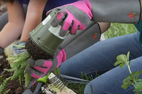 Rose Pruning Gardening Gloves For Women With Long Sleeve Cuff, Pink, Used for Planting, Showing Thorn Resistant Material and Padded Palm.