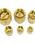 Six DAN SPEED brass check valves, female-threaded spring type, assorted sizes (DN25, 1'') for backflow prevention