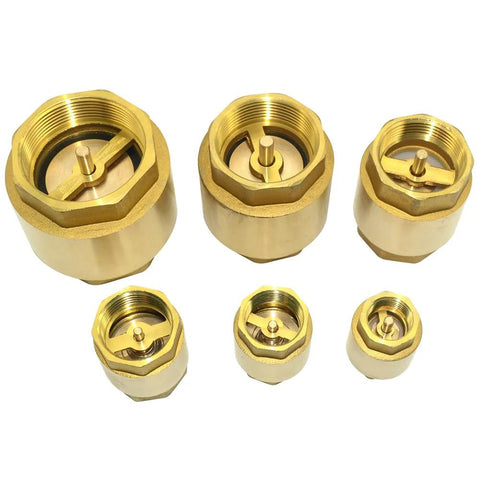Six DAN SPEED brass check valves, female-threaded spring type, assorted sizes (DN25, 1'') for backflow prevention