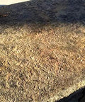 Close-up view of textured concrete surface ready for Top Shelf Low Gloss Concrete Sealer And Tough As Nails Stain Guard.