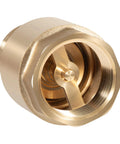 Brass one-way check valve, 1 in NPT male in / 1 in FNPT out, front view with plunger