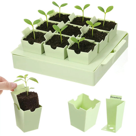 9-Cell Seed Starter Tray Kit With 2.56 Inch Deep Reusable Pots for Indoor Outdoor Gardening showing seedlings and removable pots.