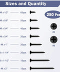 Premium Black Wood Screws Assortment Kit 250 Piece Heavy Duty Carbon Steel Fasteners for various screw sizes and quantities.