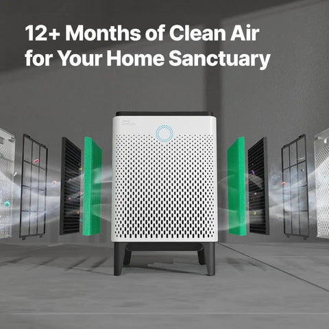Airmega 300 And 300S Replacement Filter Set For Large Rooms Up To 1256 Sq Ft With HEPA And Activated Carbon Filters in use