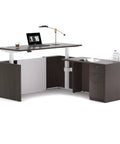 Premium Executive Standing Desk featuring smooth dual electric motors and secure storage in Khalba Oak design.