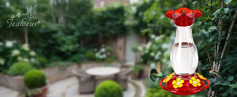 Outdoor Hanging Hummingbird Feeder 18 Ounce With 6 Feeding Ports Bee Guard And Built In Ant Moat Easy To Clean Durable Garden Decor 360 Degree View Clear Reservoir For Backyard Bird Watching