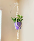 Hanging planter with green foliage in purple pot secured by Built Tough Closet Rod Brackets And Shelf Supports 10 Pack Heavy Duty Steel Mounts.