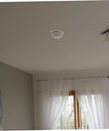 Premium Stainless Steel Fire Sprinkler Head Deflector on ceiling, protecting fixture in home setting with white curtains.
