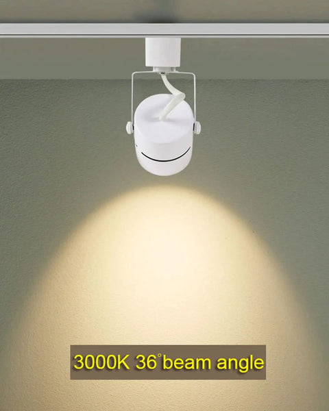 12 Pack 10W LED Track Lighting Heads With Adjustable Beam For Accent Artwork And Retail Displays, white track light, 3000K, 36° angle