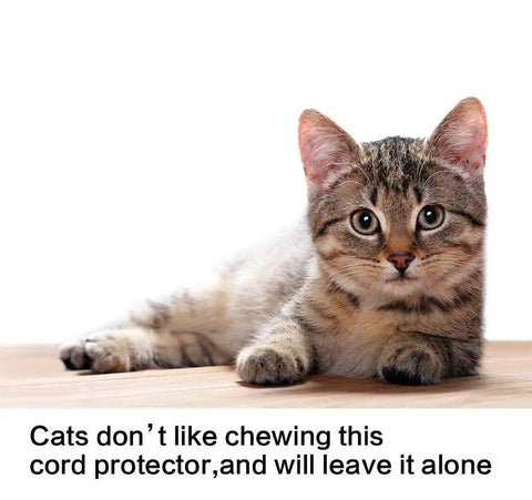 Cat lying down next to 25 Foot 3/4 Inch Split Cord Protector Wire Loom Tubing Cable Sleeve For USB HDMI Power Audio Video Cables