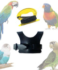 Parrot Flight Harness Vest With Leash For Outdoor Training Comfy Bird Flying Suit for small birds with harness and leash