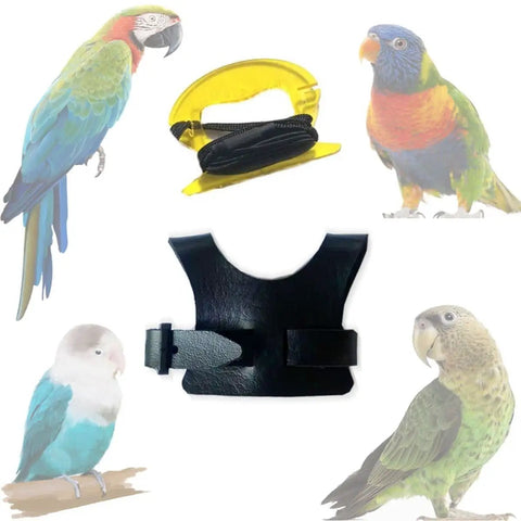 Parrot Flight Harness Vest With Leash For Outdoor Training Comfy Bird Flying Suit for small birds with harness and leash