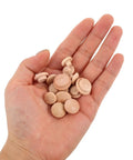 Hand holding 120Pcs Wooden Screw Hole Plugs for Furniture With Mushroom Head Covers to Hide Install Marks and Keep Screws From Loosening