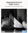 Child in tent with cat, captured with E1 Pro Indoor Camera 3K Pan Tilt WiFi For Baby And Pet Monitoring With Auto Tracking, 5MP Night Vision Enhanced By F1.6 Aperture, Person Pet Baby Crying Detection, Dual Band WiFi 2.4 And 5GHz, Two Way Audio.