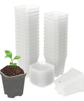 Clear 3 Inch Nursery Pots With Saucers, 30 Pack, thick plastic, square shaped, with ventilated drainage holes, seed starting use.