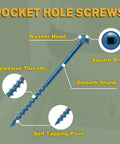 Diagram of exterior pocket hole screws blue coated for outdoor use, showcasing washer head, square drive, aggressive threads.