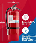 Front view of PRO10 Rechargeable Commercial Fire Extinguisher Heavy Duty Metal Valve And Head For Offices And Businesses UL Rated 4A 60B C Red 1 Pack Durable All Metal Construction Wall Mount Ready For Immediate Use