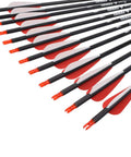 Carbon Arrows For Archery Hunting And Target Practice 26-Inch Arrows With Removable Tips For Compound And Recurve Bows 500 Spine