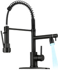 RNDIOZD LED Kitchen Faucet with Pull Down Sprayer, 2-Spout, Matte Black, featuring coil hose and dual nozzles.
