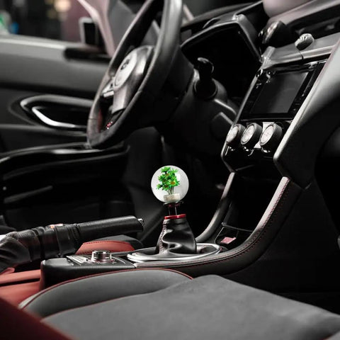 Cool 54mm Crystal Flower Shift Knob Real Flower Resin Ball installed in car interior, universal fit gated style for 5 and 6 speed shifters