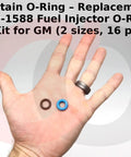 Hand holding two rings from Fuel Injector O Ring Seal Kit 217-1588 Replacement For GM Vehicles 16 Pieces Two Sizes