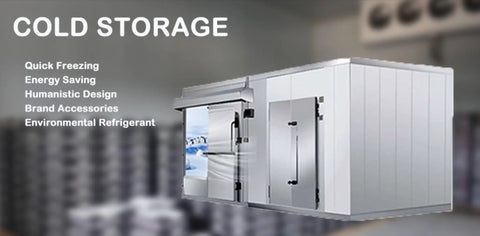 Custom Cold Room Build Top Shelf Heavy Duty Industrial Walk In Freezer Blast Freezing Beast Mode High Efficiency Refrigerated Storage Locker For Fish Fruit And Veggies Keeps Chill Locked, showcasing sleek design and double doors.
