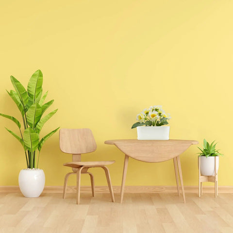 Five Pack White Herb Planter Boxes With Drip Trays Eight Point Five Inch Small Oval Window Planters on wooden table with flowers