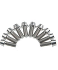 Pack of 10 Titanium M6x16mm Bolts With Tapered Hex Allen Head for bikes, made from 6Al4V titanium alloy, shown in a fan arrangement.