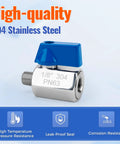 CTJfyrdian 2-pack 1/8in stainless steel ball valve with blue lever; 304 stainless, male x female NPT