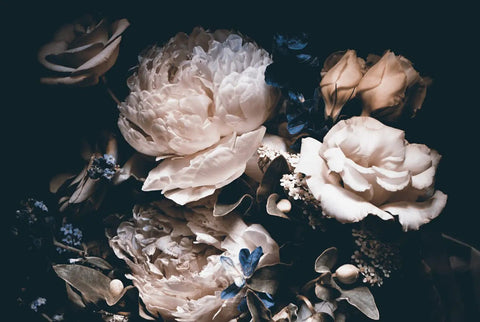 Dark Floral Peony Wallpaper Mural For Living Room Not Peel And Stick Requires Paste Large 161 By 108 Inches Wall Covering Cut