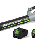 Cordless Leaf Blower With Dual 4.0Ah Batteries And Charger, 6 Speed Modes for hassle free yard cleanup shown with accessories