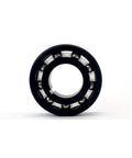 Front view of DUODUO pool cleaner main turbine bearing, black outer ring with silver steel balls.