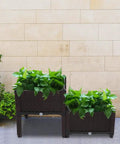 Raised Garden Beds Planter Box Set Of 2 With Self Watering Design Plastic Planter For Indoor Outdoor Vegetables Fruits Potatoes And Flowers Flexible Arrangements