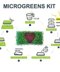 Water Wicking Hemp Mats For Microgreens And Wheatgrass Kit, 13 By 5.5 Inch Size, step-by-step growing instructions diagram.