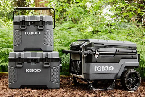 Top Shelf 25 Quart Insulated Cooler With Thick Foam Walls And Cool Riser Tech displayed with two additional IGLOO coolers in a green outdoor setting.