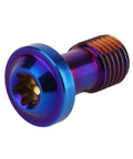 Titanium Banjo Bolts Beefy Yet Precise M10x20mm 1 To 1.25 Pitch Torx Head Brake Fitting Adapter Screw Burnt Blue Universal