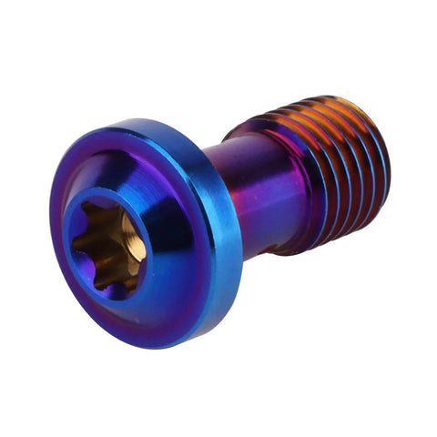 Titanium Banjo Bolts Beefy Yet Precise M10x20mm 1 To 1.25 Pitch Torx Head Brake Fitting Adapter Screw Burnt Blue Universal