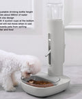Height Adjustable 680 Ml Pet Water Dispenser And Automatic Food Feeder For Puppies Kittens And Rabbits featuring adjustable height and anti-slip design.