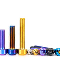 Aviation Grade Titanium Cone Head Screws Torx Anti Theft 4 Pack M4 M5 M6 M8 Burnt Blue CNC Machined arranged by size and color